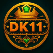dk 11 game logo image
